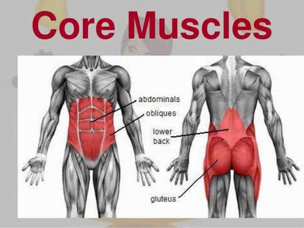 Core Stability Personal Trainer Rudi Hechtel Eksel Fit Point Core Stability Personal Trainer Rudi Hechtel Eksel Fit Point